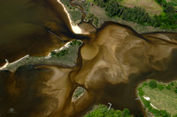 A View of a Shoreline on the Indian Creek off of the Choptank River in Dorchester County, Maryland.