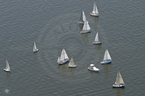 A Group of Boats enjoying the Bay