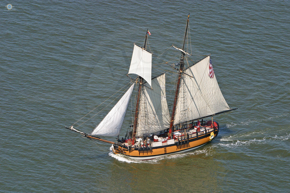Sultana sailing on the Chester River