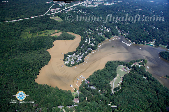 Severn River Mud 2