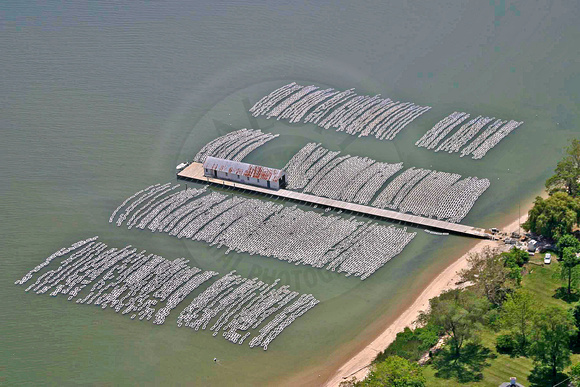 WH 08-05-15 x0011sm Choptank River Oyster Ranch