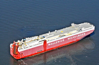 Wallenius Wilhelmsen Tiger