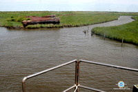 Poplar Island