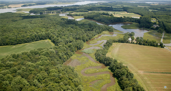 Miles Creek in Talbot County