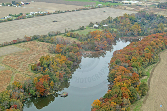 Fall on Emory Creek