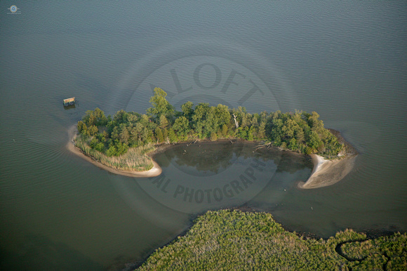 Island in the Choptank River
