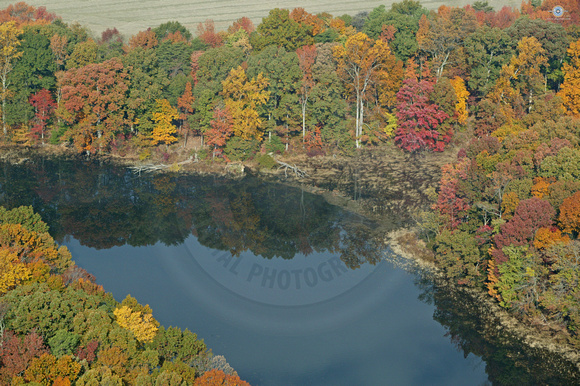 Fall Colors on Hall Creek
