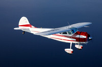Steve's Cessna C-195