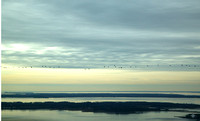 Winter Sunset Over the Chester River