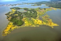 MPT story Horsehead Wetlands Center