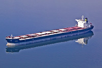 Shibumi IMO 9408085