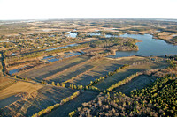 Baileys Neck Wildlife Area