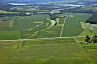 Farm'n Action in Kent