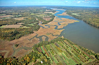 Patuxent River - PG County side