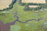 Wetlands Just South of the Choptank Wetland Preserve