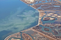 Muddy Clammers Poplar Island