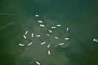WH 06-10-09 x3958sm