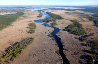 Salt Marsh in Black Water Refuge