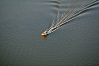 Crabbing Miles River