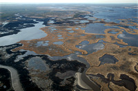 Blackwater National Wildlife Refuge