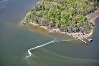 Tred Avon River - Pollen on the Tred