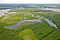 Choptank River - various