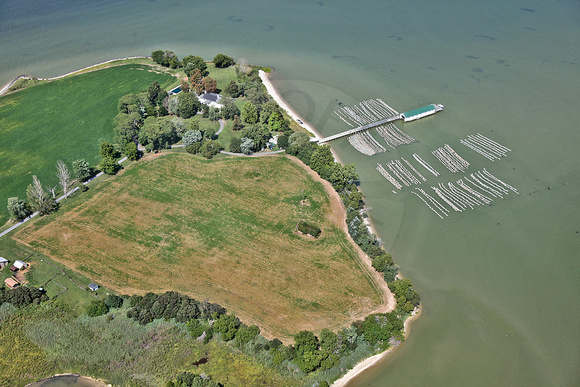 WH 14-08-14 x1406sm Choptank River Oyster Ranch